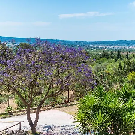Villa Es Pinar