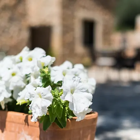 Es Pinar Villa Alaro